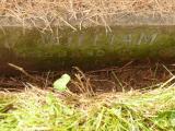 image of grave number 808921